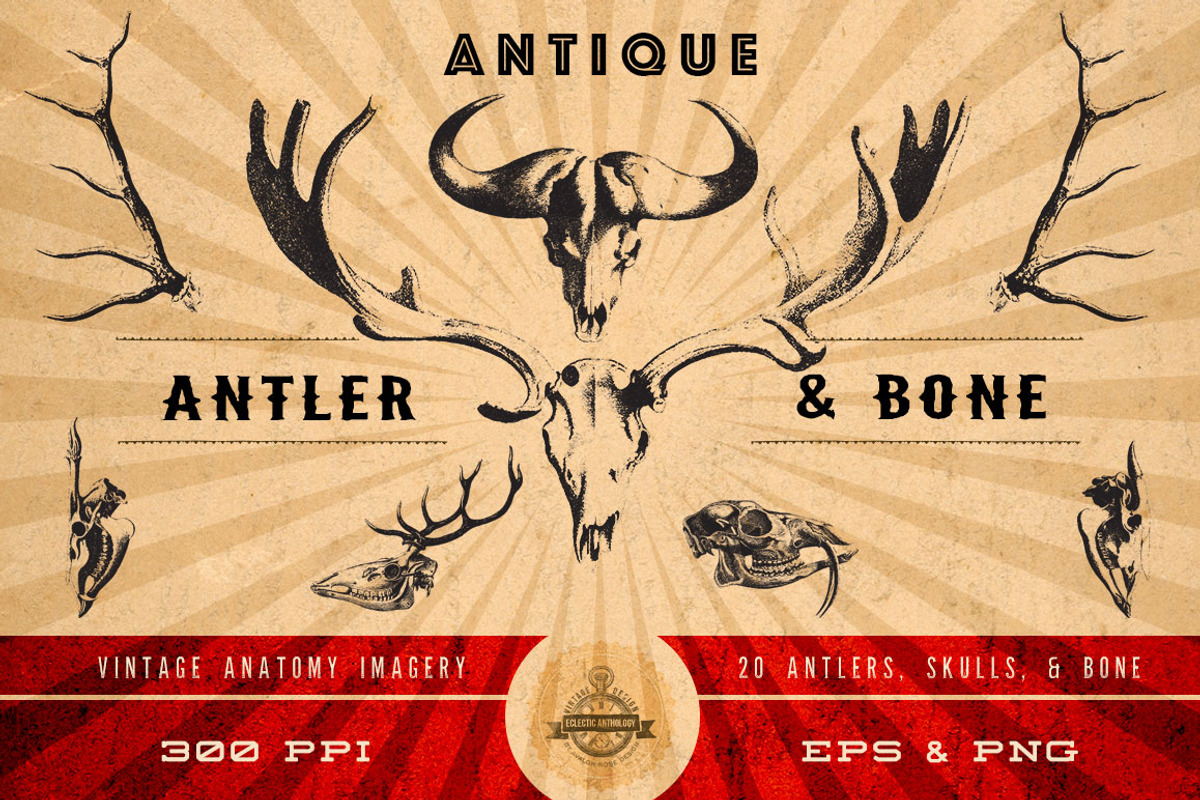 Vintage Bundle of Wonder, an Object Graphic by Eclectic Anthology (Photo 18 of 22)