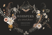 Wildflowers watercolor floral botany, a Decorative Illustration by Grace Noboa Illustrations (Thumbnail 1 of 17)