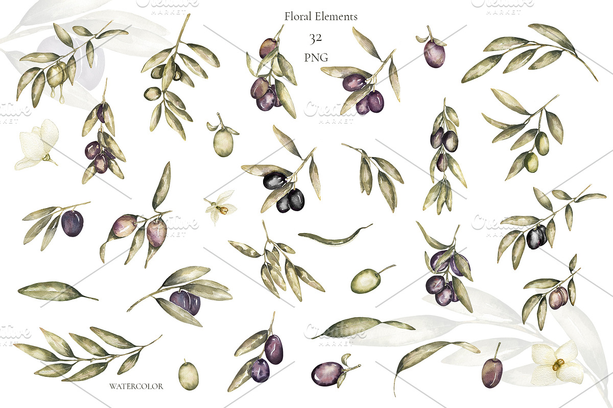 Watercolor Olives collection, a Graphic by MayaNavits (Photo 7 of 25)