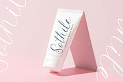 Petalip Orchid Modern Freestyle, a Script Font by Letterena Studios Script (Thumbnail 9 of 15)