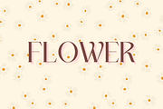 Flewur 60's Elegant Serif Font, a Serif Font by Pikgura (Thumbnail 10 of 11)