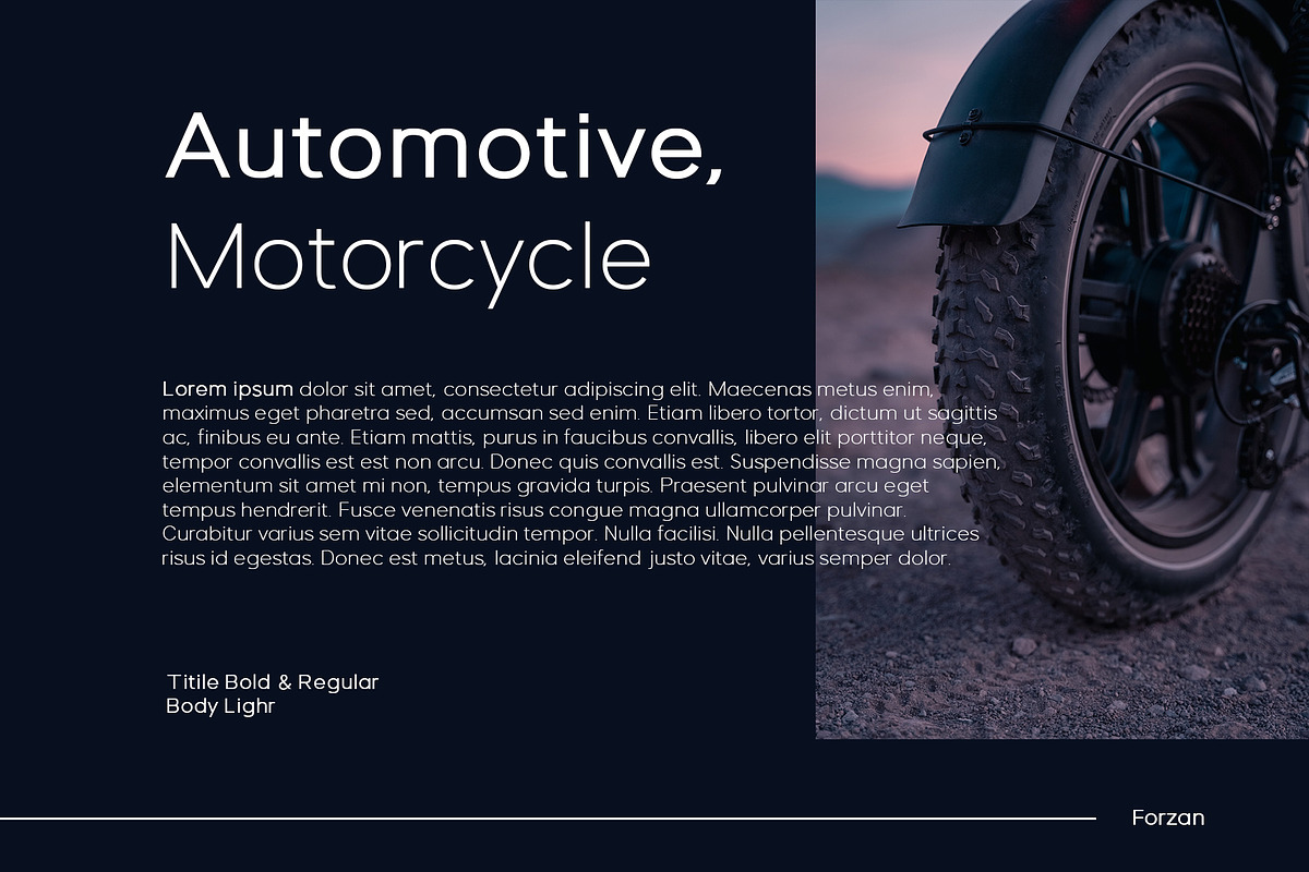 Forzan - Sans Serif Typeface, a Sans Serif Font by Mytype Studio (Photo 4 of 10)