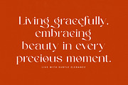 Strikes Against Modern Serif Font, a Serif Font by timelesstype.co (Thumbnail 12 of 20)
