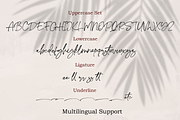 Sidneyland, a Script Font by Ibrahima_Studio (Thumbnail 12 of 13)