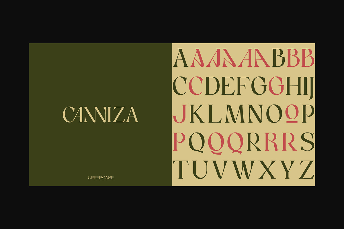 Canniza - Display Serif Font, a Serif Font by Prominent & Affluent (Photo 3 of 8)