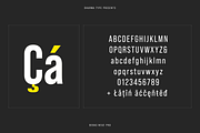 Bebas Neue Pro - Middle Italic, a Sans Serif Font by Dharma Type (Thumbnail 6 of 11)