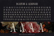 Dream Reacher Font, a Serif Font by Asenbayu (Thumbnail 9 of 12)