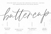 Style Ray | Casual Chic Script Font, a Script Font by Pink Coffie (Thumbnail 6 of 15)