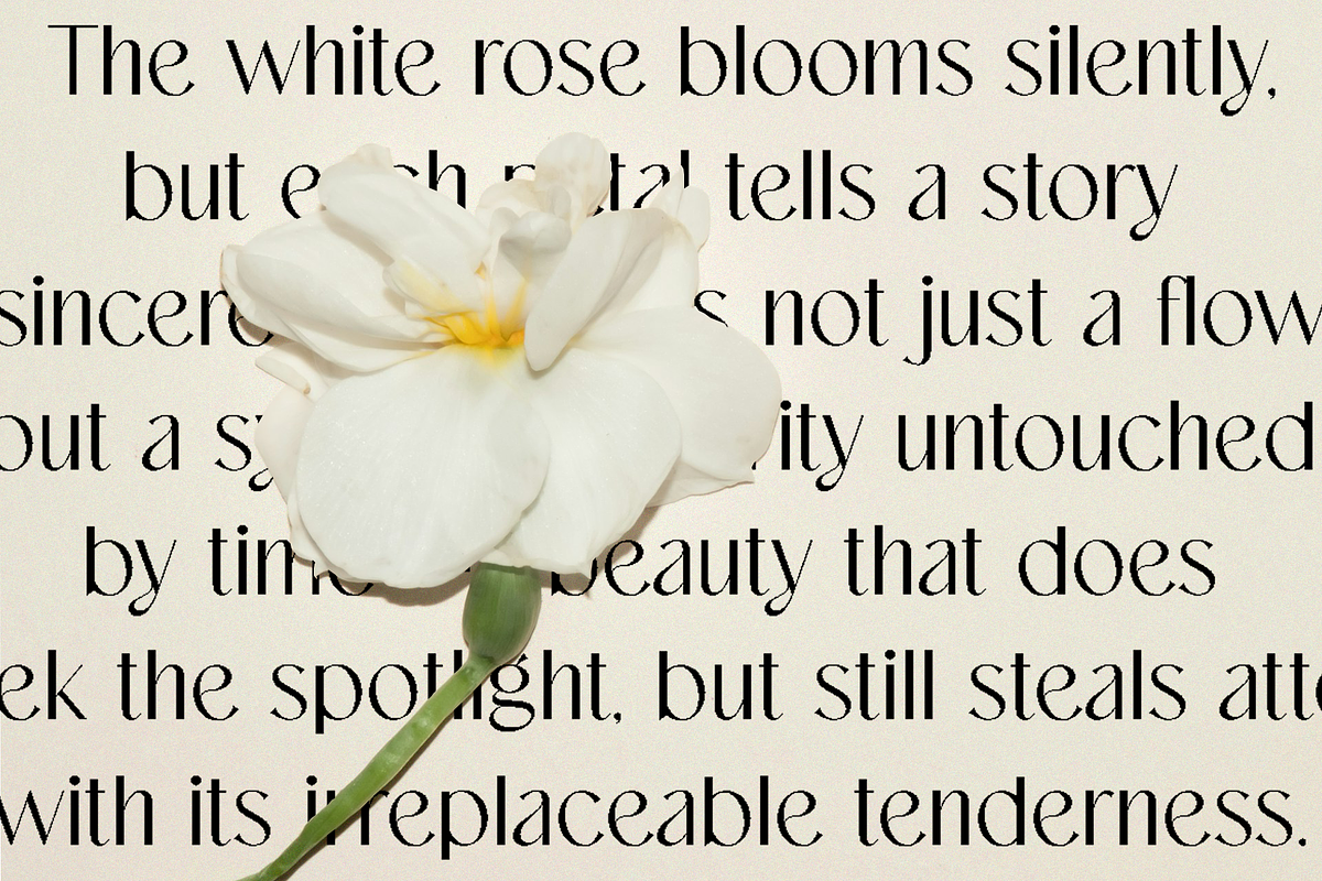 Dastin Mirelle - font duo, a Serif Font by ToniStudio (Photo 6 of 10)
