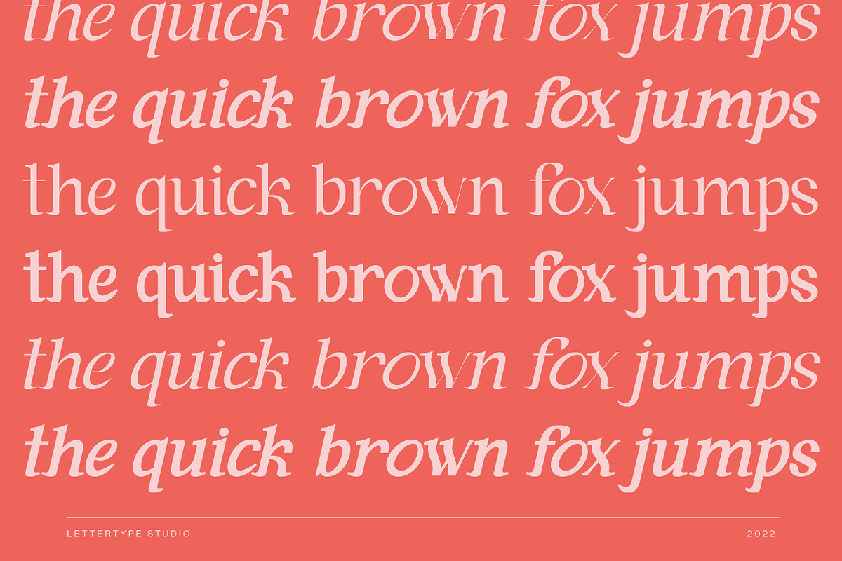 Andaman an Experimental Serif Font, a Serif Font by Lettertype Studio (Photo 9 of 15)