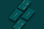 Business cards templates: financial, a Business Card Template by Srg® (Thumbnail 10 of 11)
