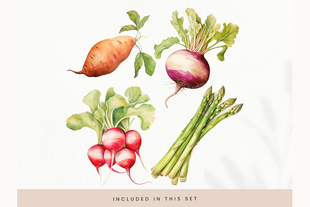 Watercolor Vegetables Clipart, Fresh, a Decorative Illustration by illuztrate (Photo 3 of 9)