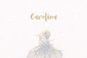 Antums Brush, a Handwritten Font by Siwox Studios (Thumbnail 2 of 9)