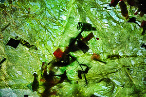 Yellow abstract,Sustainable abstract, an Abstract Photo by Manis recycle abstract