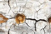 Rustic Wood Textures, a Background Photo by VetalStock (Thumbnail 2 of 10)
