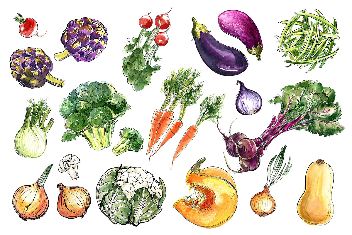 Food watercolor. Vegetables, a Food Illustration by irina.vaneeva (Photo 6 of 25)