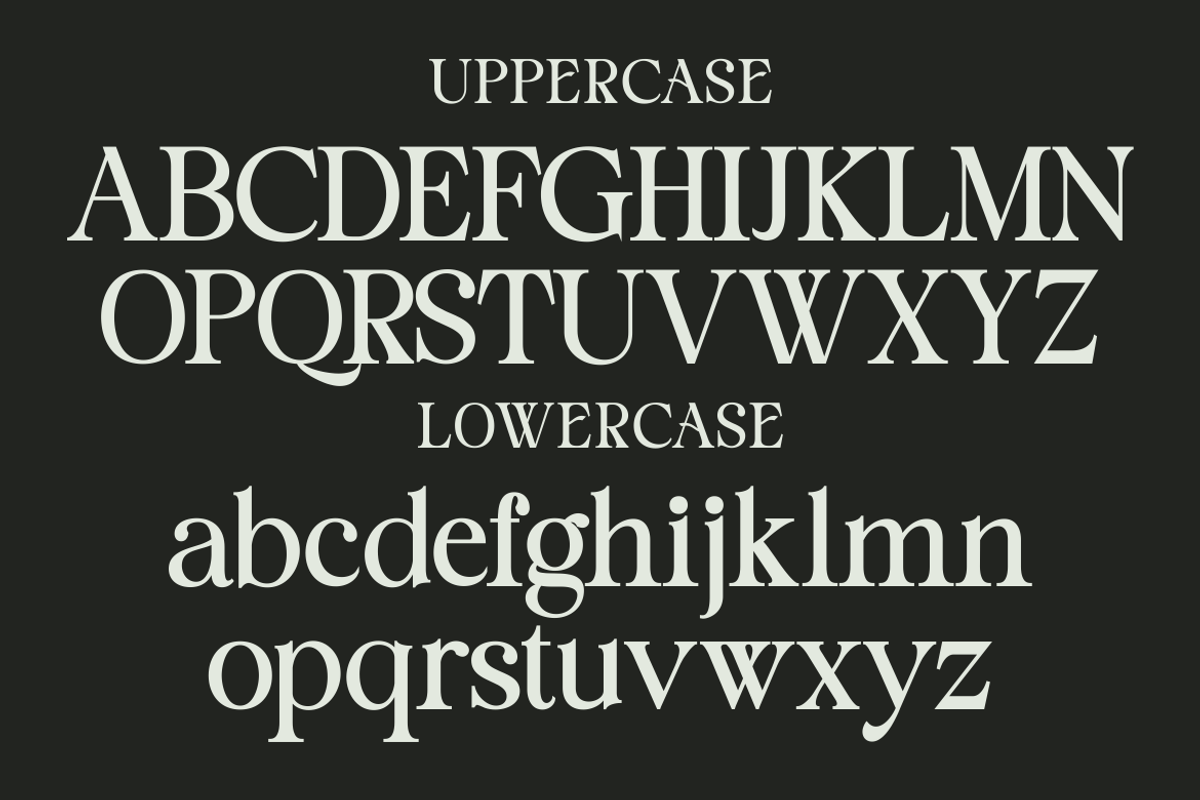 Staller - A Modern Beauty Font, a Serif Font by Marvadesign (Photo 2 of 7)