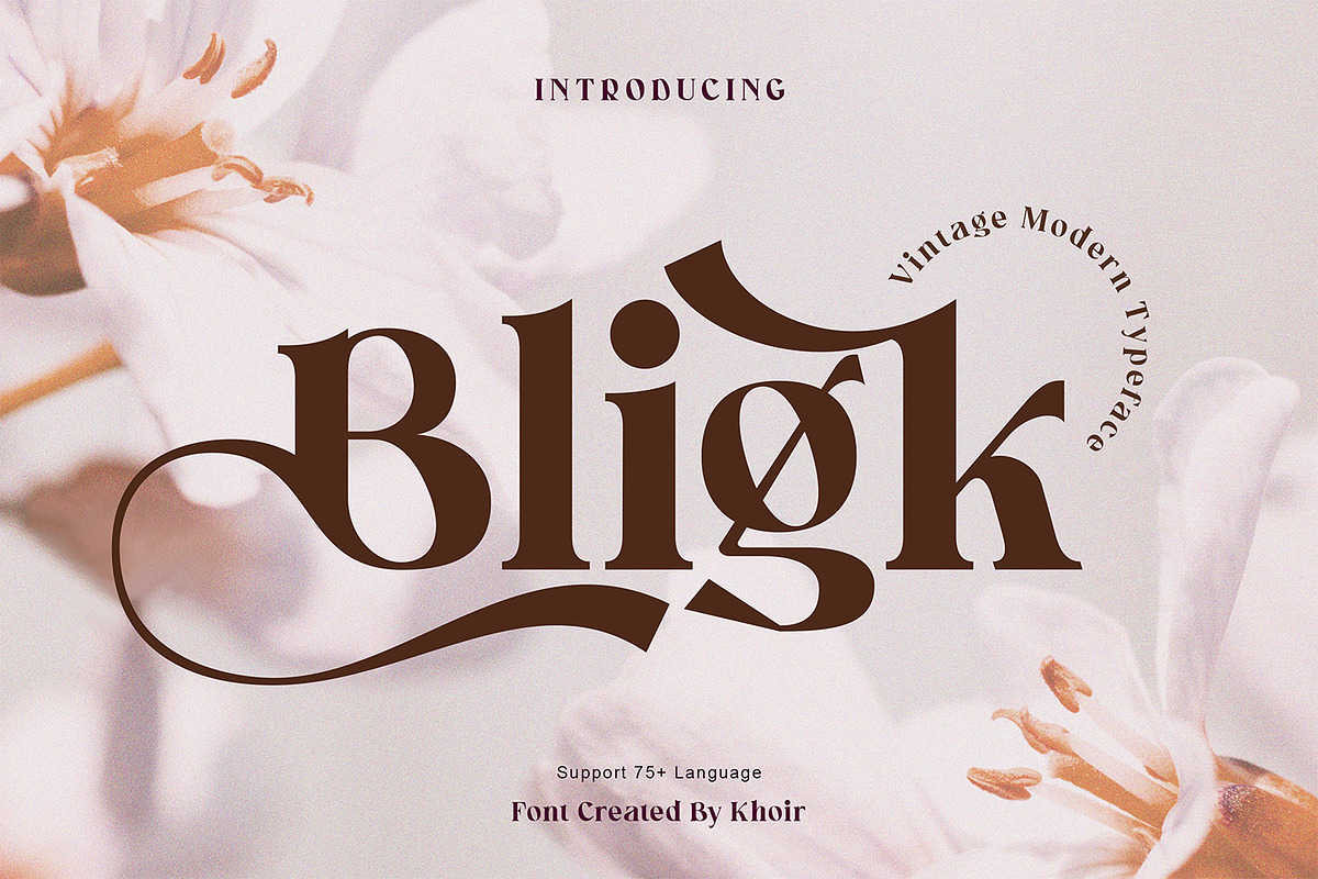 Bligk - Vintage Modern, a Serif Font by Khoir (Photo 1 of 15)
