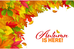 Autumn season banner