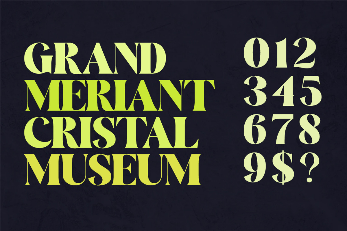 Crima, a Serif Font by Gatype (Photo 2 of 9)