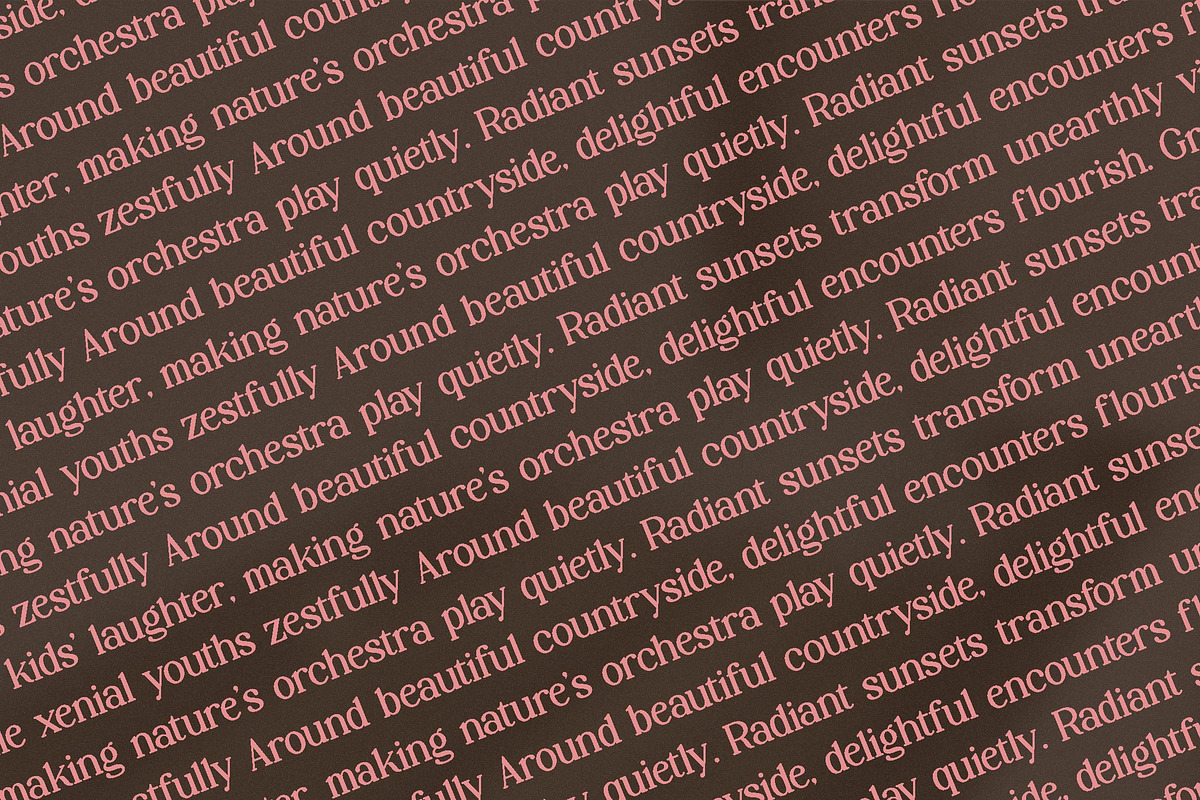 Palenk Radney | Modern Retro Serif, a Serif Font by Denustudios (Photo 13 of 13)