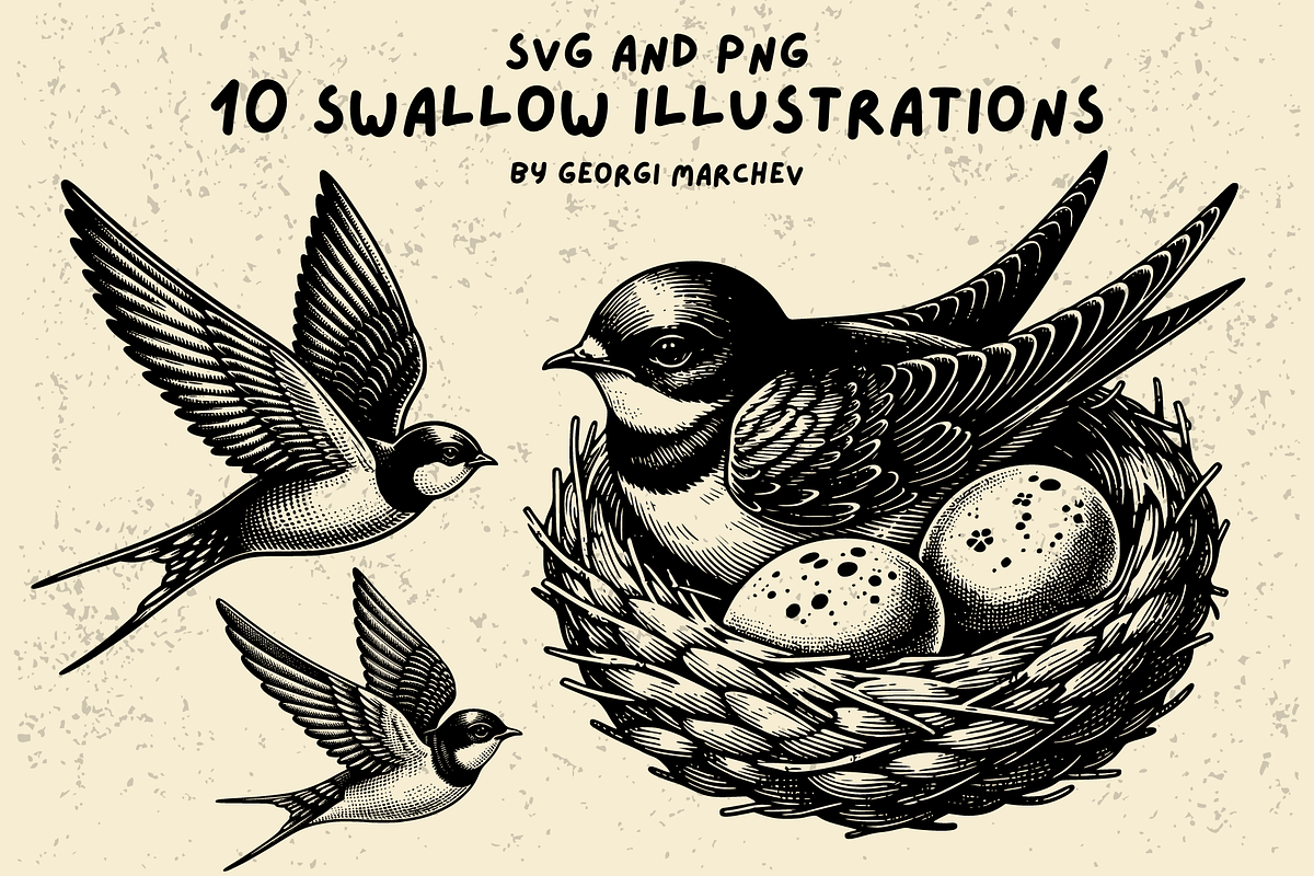 Vintage Swallow Drawings Bundle SVG, an Animal Illustration by Ray Crimson