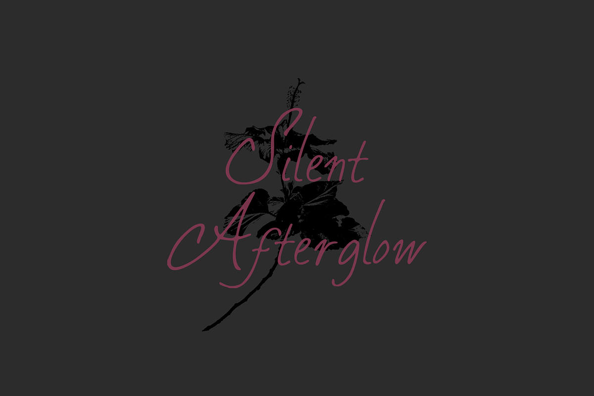 Silent Afterglow, a Handwritten Font by zuzulgo (Photo 1 of 5)
