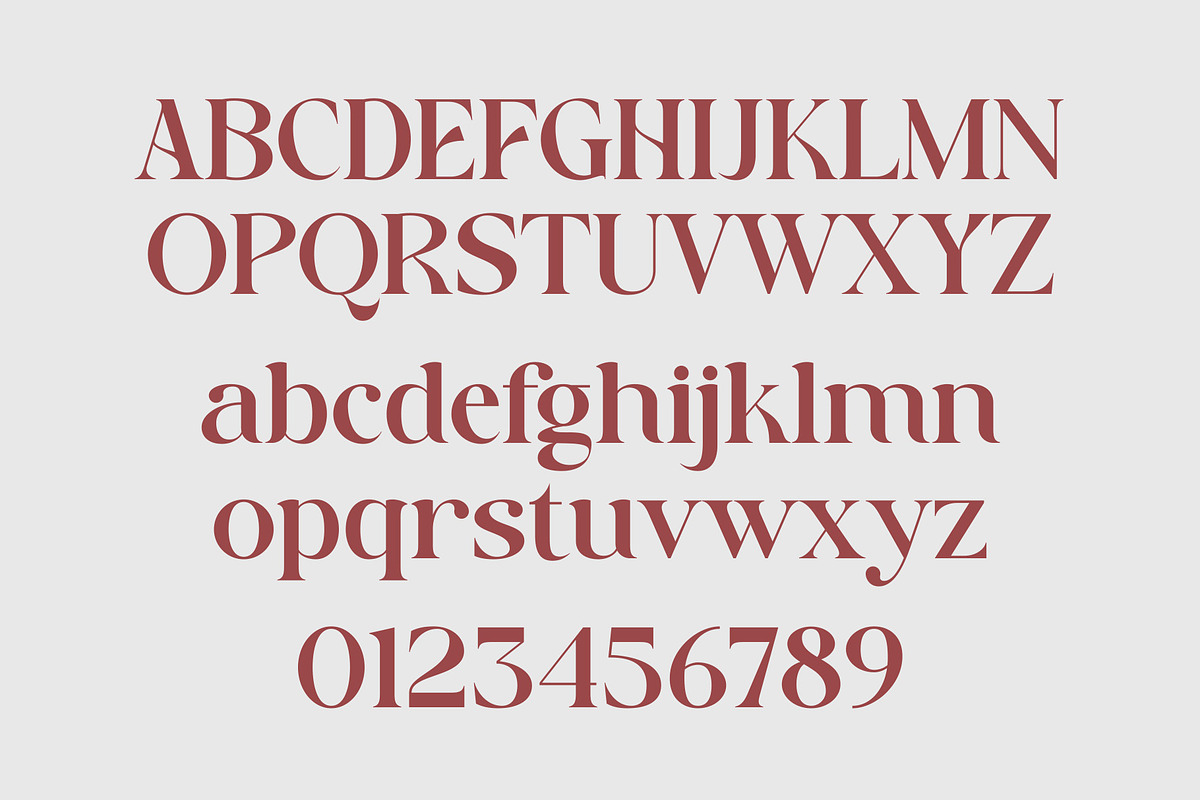 Bareya Modern Serif, a Serif Font by Muflieart (Photo 8 of 9)