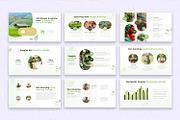 Organic Food Pitch Deck Presentation, a Presentation Template by SlideStack (Thumbnail 2 of 5)