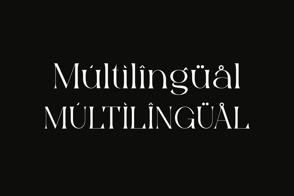 Bonuko - Modern Ligature Serif Font, a Serif Font by Iqsiart Studio (Photo 10 of 16)