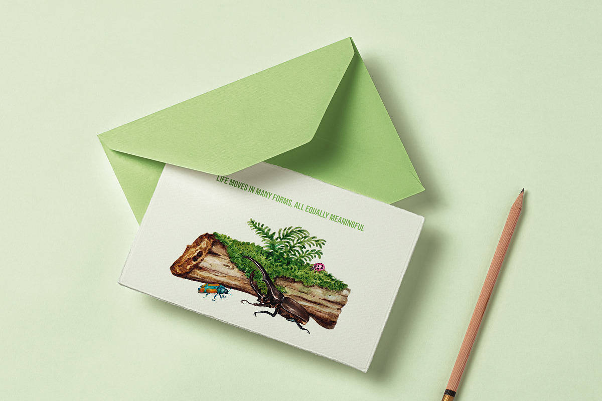 Jewel Beetle Set – Watercolor Nature, an Animal Illustration by CreativeValuation (Photo 11 of 11)