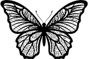 Beautiful Butterfly Silhouette, an Object Graphic by Designer_Momina (Thumbnail 11 of 20)