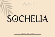 Harrison Serif Font, a Serif Font by UInstrument (Thumbnail 4 of 4)