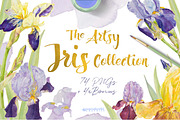 TheArtsyIrisCollection-Clipart, an Illustration by watercolorwild.graphics (Thumbnail 1 of 13)