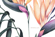 Twilight Flowers, an Illustration by Salted Galaxy (Thumbnail 13 of 13)
