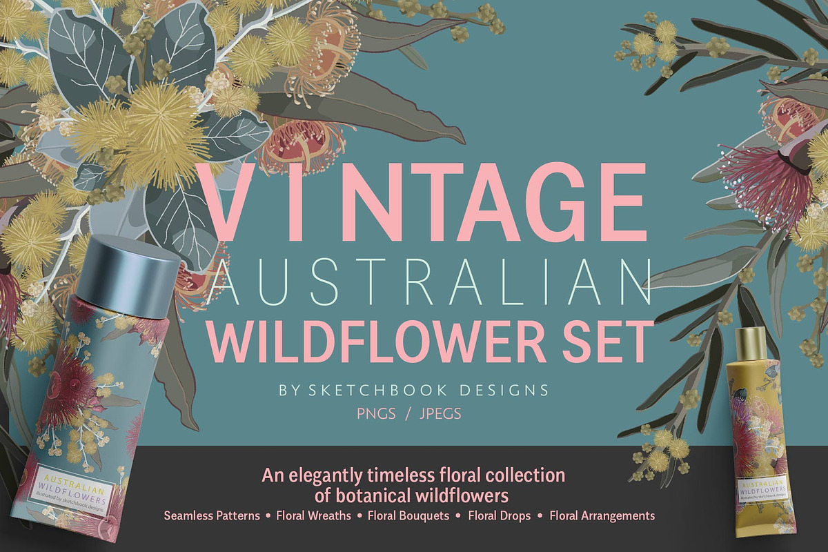 VINTAGE AUSTRALIAN WILDFLOWER SET, an Illustration by Sketchbook Designs (Photo 1 of 12)