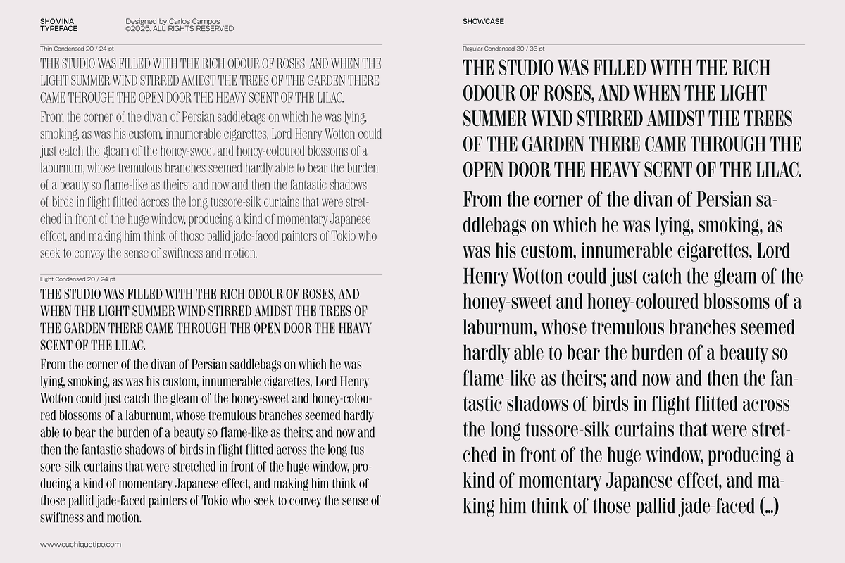 Shomina Font, a Serif Font by Cuchi, qué Tipo! Foundry (Photo 12 of 21)