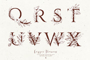 Copper Flowers with Alphabet, a Decorative Illustration by Bloomart Studio (Thumbnail 6 of 8)