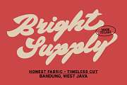 Bright Supply - Bold Script Font, a Script Font by Zarma Type (Thumbnail 2 of 12)