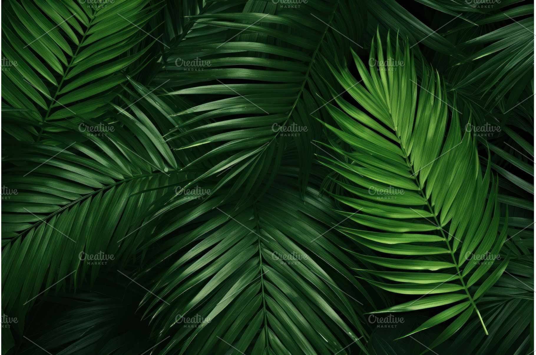 Vibrant Palm leaves tropical, a Nature Photo by Ylivdesign