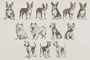 215 Dog Illustrations, an Animal Illustration by Nocturnal Wolf (Thumbnail 3 of 14)