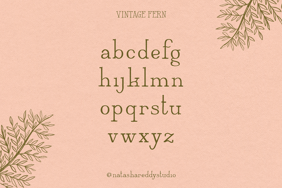 VINTAGE FERN by Natasha Reddy, a Serif Font by Natasha Reddy Studio (Photo 3 of 10)
