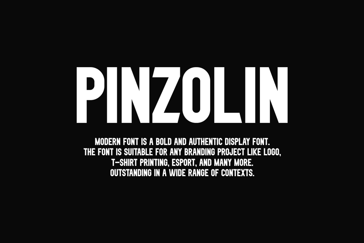 Pinzolin Font, a Sans Serif Font by albert_kalingga (Photo 5 of 6)