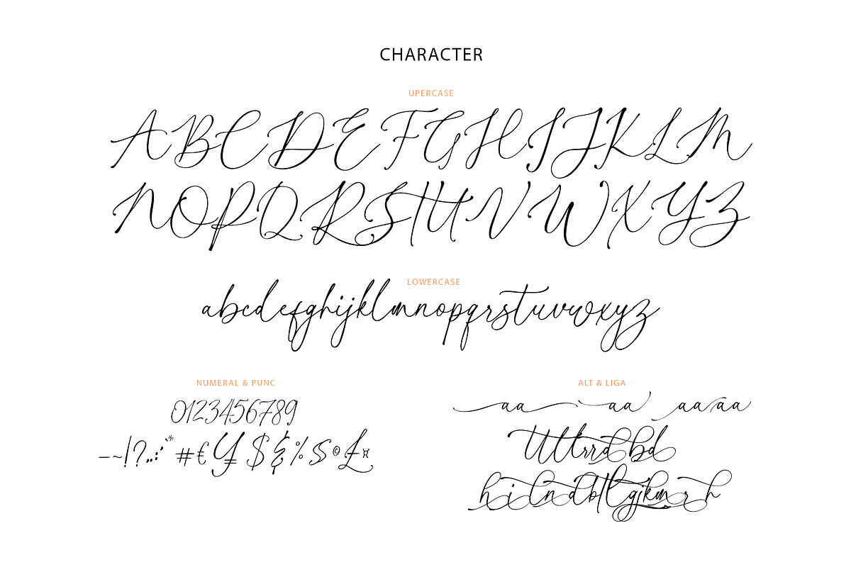 Cellita Script, a Script Font by Realtype (Photo 10 of 10)