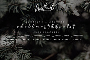 Westland Handstylish Font, a Script Font by Alif Devan R. (Thumbnail 7 of 7)