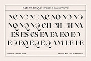 RATHER RISQUE - Ligature Serif Font, a Serif Font by SilverStag Type Foundry (Thumbnail 22 of 27)