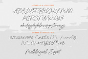 Breaktown - Stylish Brush Font, a Script Font by Pixesia Studio (Thumbnail 11 of 13)