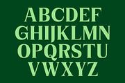 Niecher-Serif Display, a Serif Font by takoliko (Thumbnail 9 of 13)