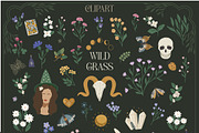 Wild Grass Mystic pattern&clipart, a Background Graphic by Cozy pattern shop (Thumbnail 7 of 12)