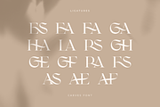 CARVES - Modern Display Font, a Sans Serif Font by Sensatype (Thumbnail 17 of 20)